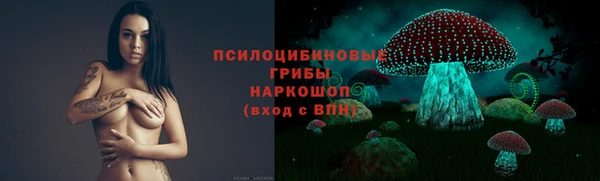 2c-b Алексин