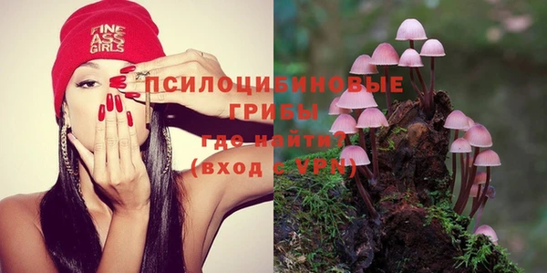 jwh Каменногорск