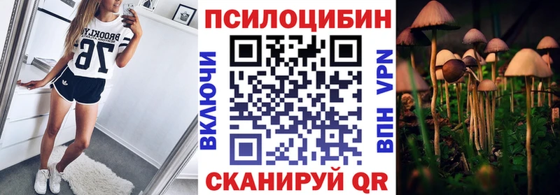 Псилоцибиновые грибы Psilocybine cubensis  Орёл 